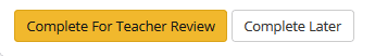 NEE Teacher Summative - Saving options screengrab
