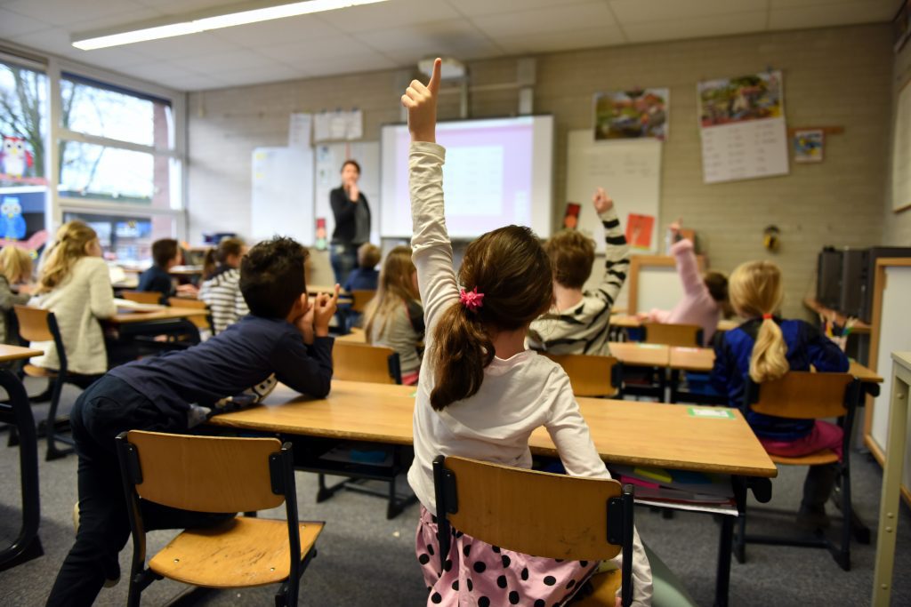 View of teacher from back of classroom as several young students raise their hands